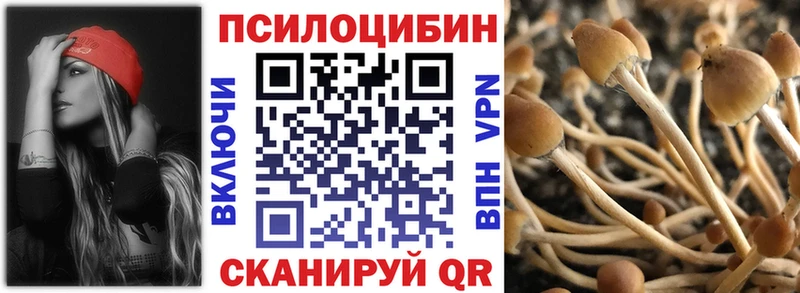 Псилоцибиновые грибы Magic Shrooms Западная Двина