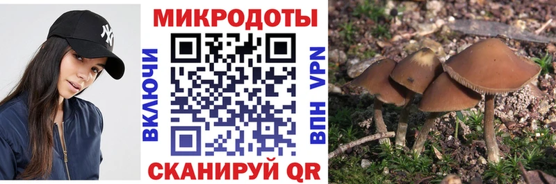 Псилоцибиновые грибы прущие грибы Западная Двина